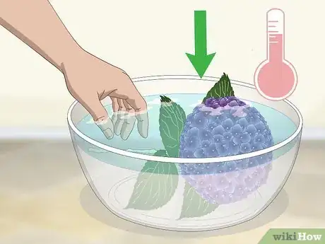 Imagem intitulada Keep Hydrangeas Alive Step 7