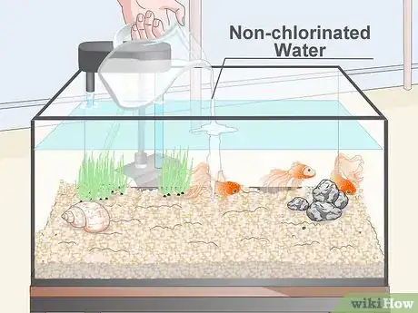 Imagem intitulada Clean Fish Tank Rocks Step 13