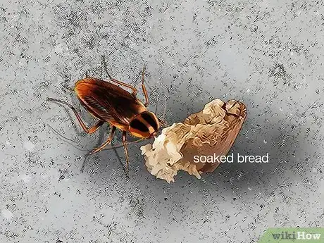 Imagem intitulada Identify a Cockroach Step 4
