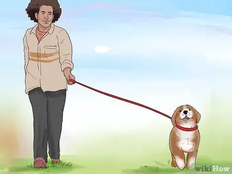 Imagem intitulada Stop Dogs from Eating Dog Poop Step 4