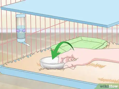 Imagem intitulada Prepare a Rabbit Cage Step 11