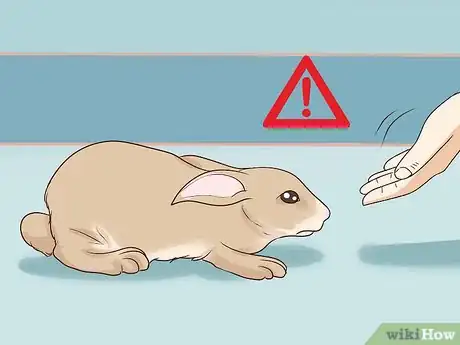 Imagem intitulada Pet a Rabbit Step 5