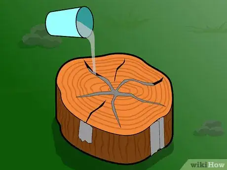 Imagem intitulada Preserve a Tree Stump Step 8