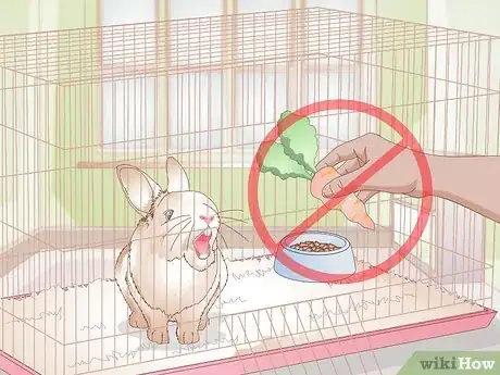 Imagem intitulada Calm a Vicious Rabbit Step 11