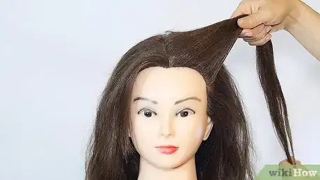 Imagem intitulada Do Two French Braids Step 2