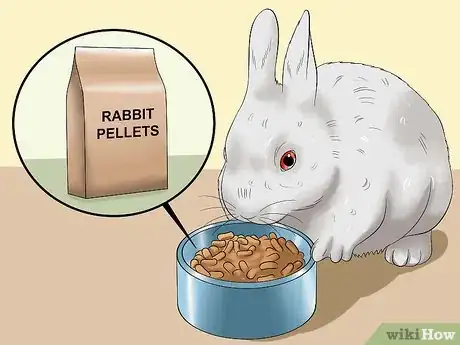 Imagem intitulada Feed a House Rabbit Step 2