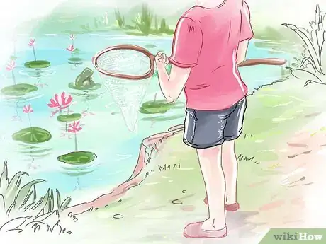 Imagem intitulada Catch a Frog Step 2