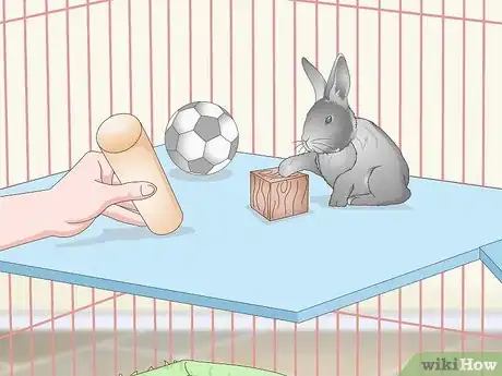 Imagem intitulada Prepare a Rabbit Cage Step 13