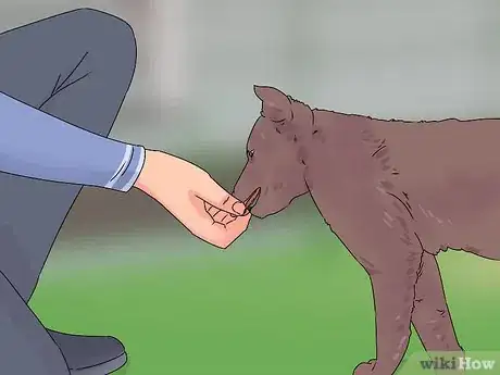 Imagem intitulada Train a Dog Step 14