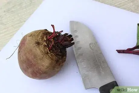 Imagem intitulada Store Raw Beets Step 4