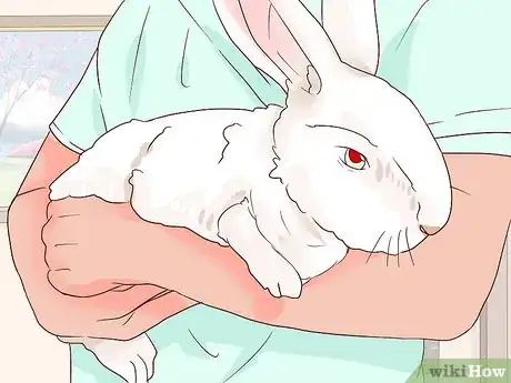 Imagem intitulada Deal with a Sick Rabbit Step 7