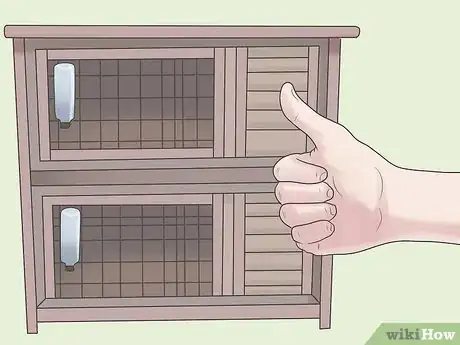 Imagem intitulada Stop a Rabbit from Smelling Step 6