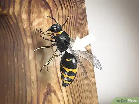 Imagem intitulada Identify Wasps Step 4