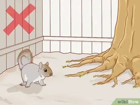 Imagem intitulada Stop a Dog from Digging Step 9