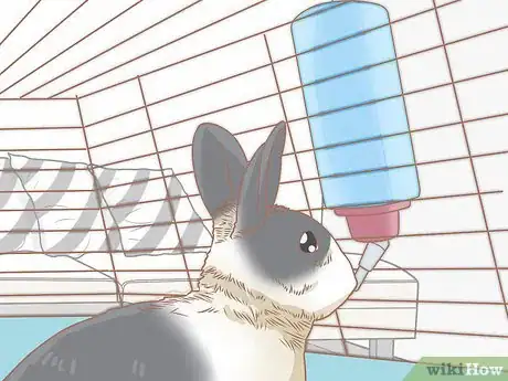 Imagem intitulada Set up a Rabbit Cage Step 14