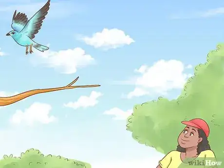 Imagem intitulada Catch a Bird Step 6
