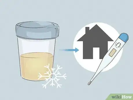 Imagem intitulada Store Urine for a Drug Test Step 6