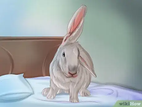 Imagem intitulada Make Your Rabbit Like You Step 2