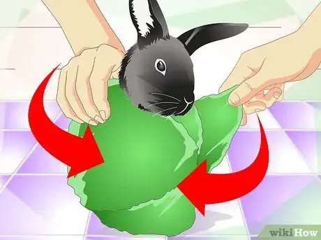 Imagem intitulada Cut a Rabbit's Claws Step 8