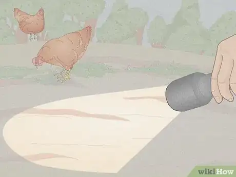 Imagem intitulada Catch a Chicken Step 2