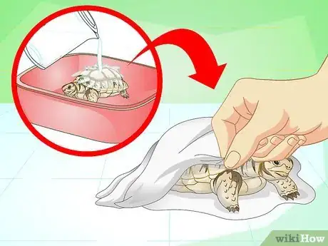 Imagem intitulada Bathe a Turtle Step 17