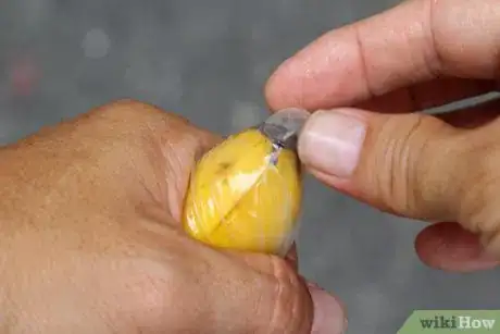 Imagem intitulada Check a Condom Step 14