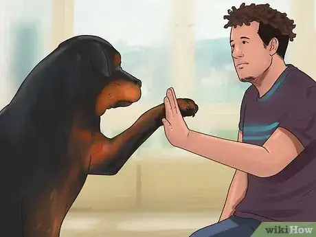 Imagem intitulada Train a Rottweiler Step 6