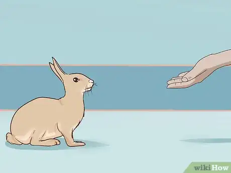 Imagem intitulada Pet a Rabbit Step 4