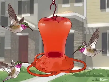 Imagem intitulada Feed Wild Birds Step 9