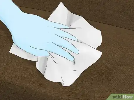 Imagem intitulada Clean Pee Off a Couch Step 1