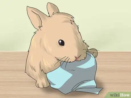 Imagem intitulada Make Homemade Rabbit Toys Step 7