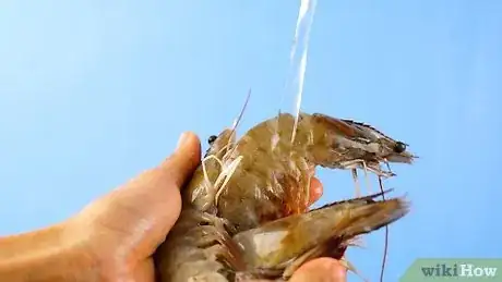 Imagem intitulada Clean Shrimp Step 2