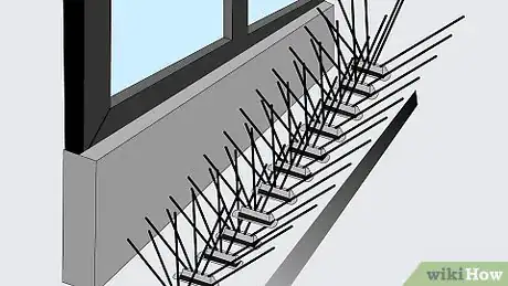 Imagem intitulada Get Rid of Pigeons Step 1