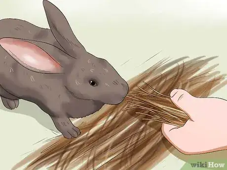 Imagem intitulada Feed a House Rabbit Step 6