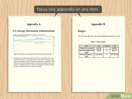 Imagem intitulada Use an Appendix Step 5