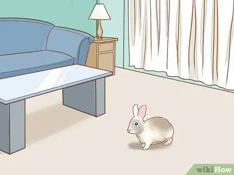 Imagem intitulada Set up a Rabbit Cage Step 10