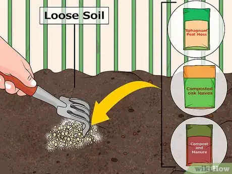 Imagem intitulada Acidify Soil Step 6
