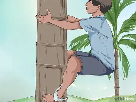 Imagem intitulada Climb a Coconut Tree Step 5