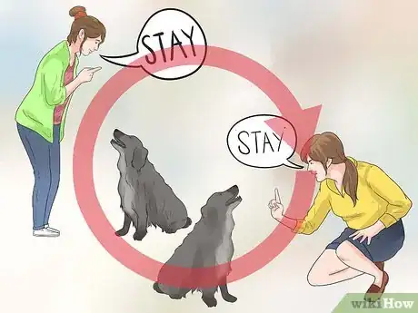 Imagem intitulada Train Border Collies Step 2