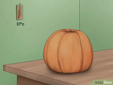 Imagem intitulada Clean a Pumpkin Step 7