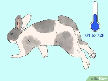 Imagem intitulada Care for a Rabbit Step 21