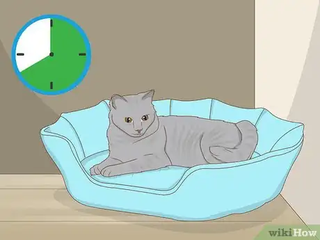 Imagem intitulada Set Up Cat Shelves Step 2