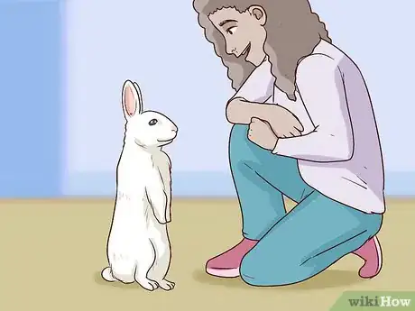 Imagem intitulada Pet a Rabbit Step 6