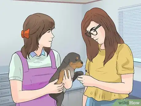 Imagem intitulada Care for a Rottweiler Puppy Step 2