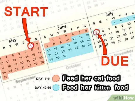Imagem intitulada Help a Cat Give Birth Step 3