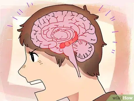 Imagem intitulada Control Anger Step 15