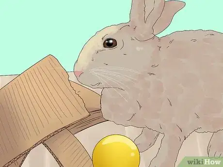 Imagem intitulada Care for a Rabbit Step 15