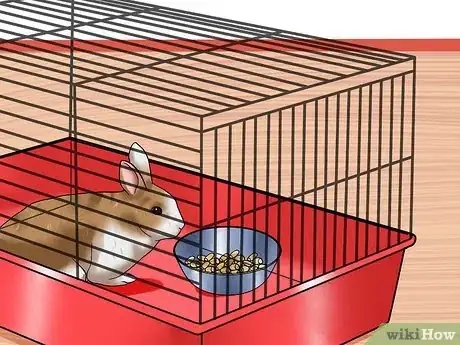 Imagem intitulada Introduce Rabbits Step 3