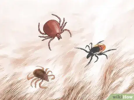 Imagem intitulada Get Ticks off Dogs Step 1