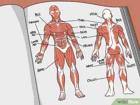 Imagem intitulada Study Muscle Anatomy Step 2